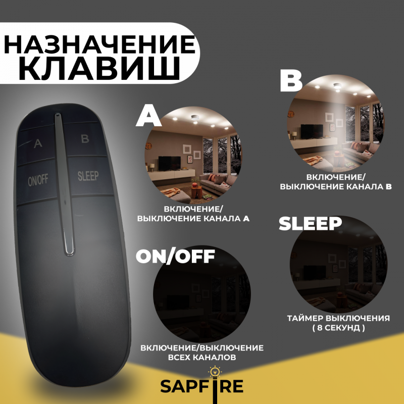 Пульт дистанционного управления ЧЕРНЫЙ (220V, 2 канала, цвет коробка, держатель на стену, без батаре