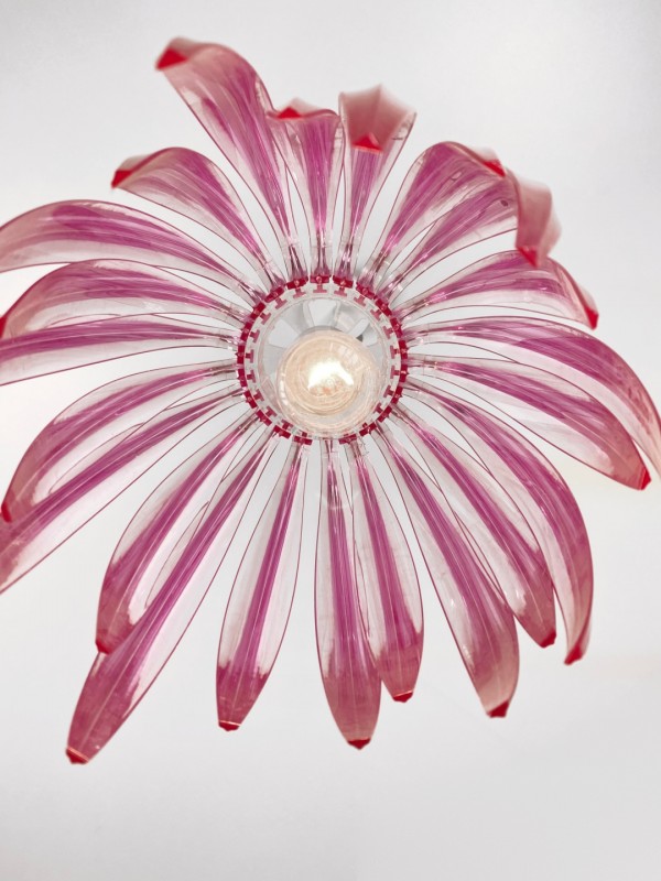 Светильник SPF-81508 фуксия ` D250/H300-1000/E27/60W SPF01 Dracena